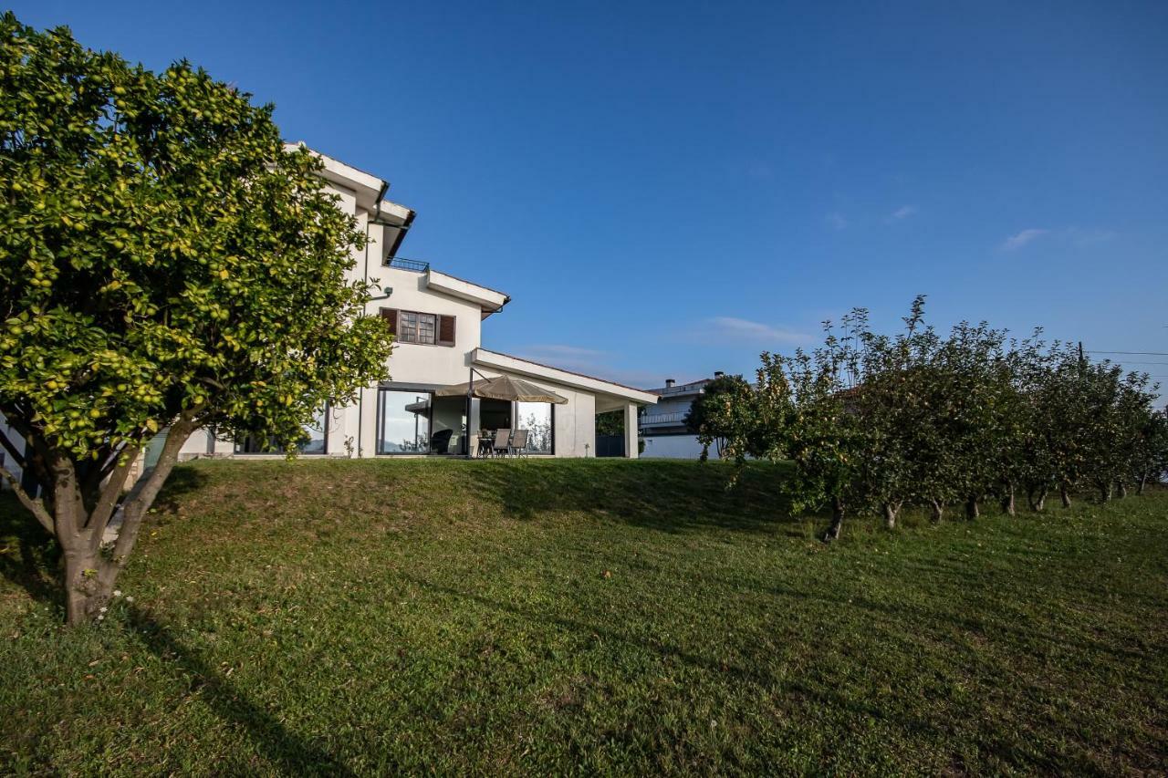 Viana Do Castelo Home Exteriör bild